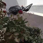 Marina Pavic 02 Appartement Hvar Town
