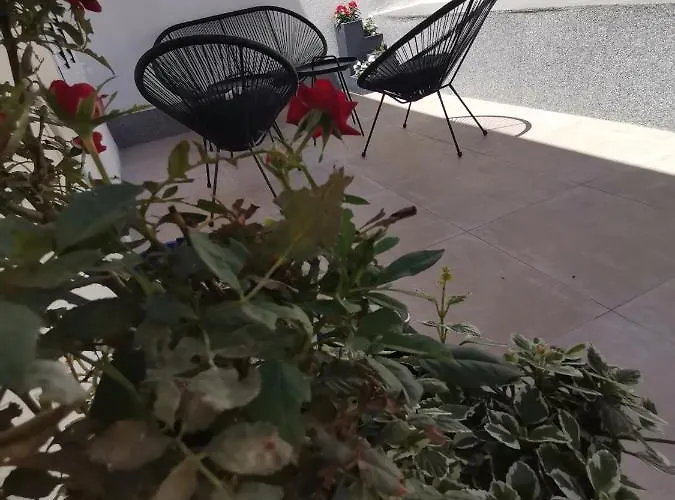 Marina Pavic 02 Lägenhet Hvar Town